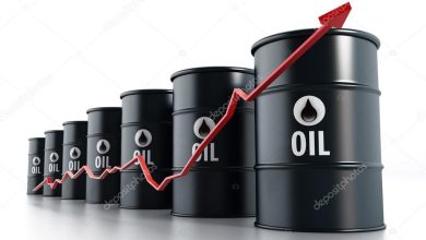 तेल कीमतों में तेजी भारत की कमर तोड़ रही है: जयशंकर